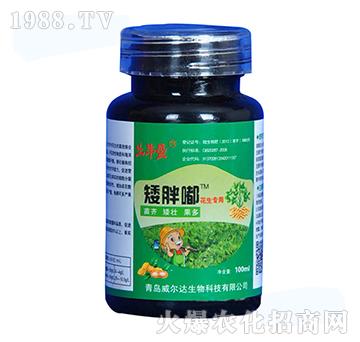 ΢����ʣ�������(zhu��n)�ã�-�����-�����_(d��)