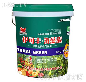 ̼ø������������-�����S��������-����