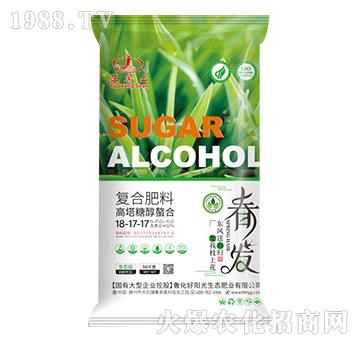 �����Ǵ����ϏͺϷ���18-17-17-���Pɽ-����