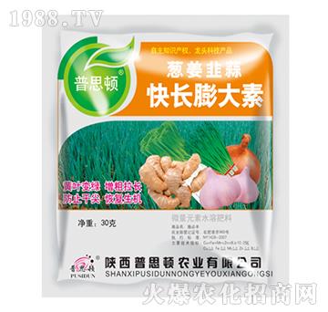 �[���²˿��L�����-��