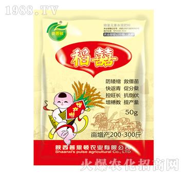 ����-��˼�D�r(n��ng)�I(y��)