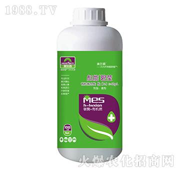 �ЙC(j��)�j(lu��)���F-���ܱ̬�-����ɭ