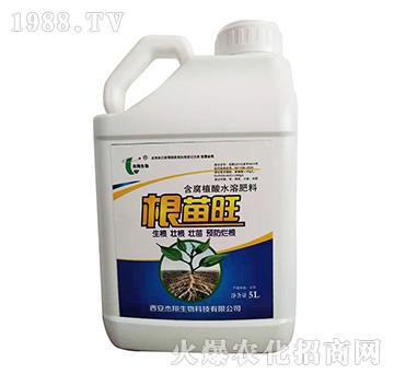 ����ֲ��ˮ�ܷ���-������-��������