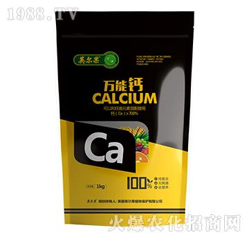 �f �� �}- Ӣ �� ��