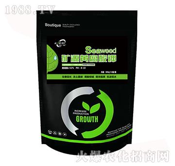 �VԴ�S�����-�����������u