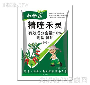 10%��୺��`-�t����(l��)-�ݵ�˹