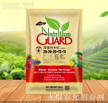 ����{����20-20-20+TE+Ti������-���ԁ��