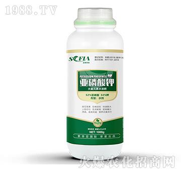 �������-���Ɓ�