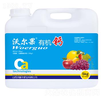 �֠����ЙC�}-�ּ��S�ʘI(y��)