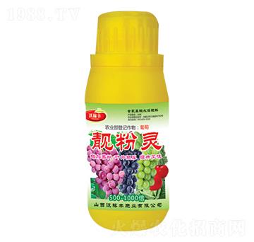 �n���`-�ּ��S�ʘI(y��)