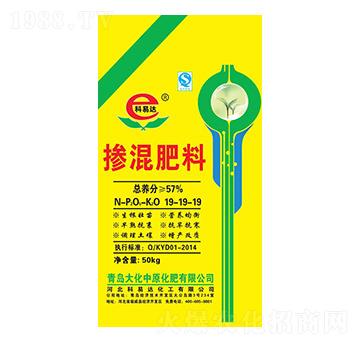 �������19-19-19-�����_