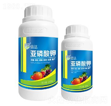 �������-���_(d��)