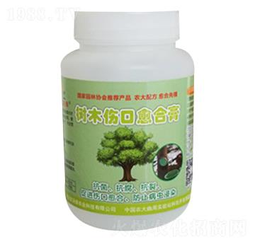 ��ľ�������ϸ�-�r�־G