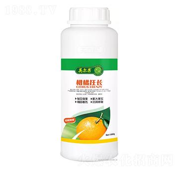 ���ٿ��L(zh��ng)-Ӣ����