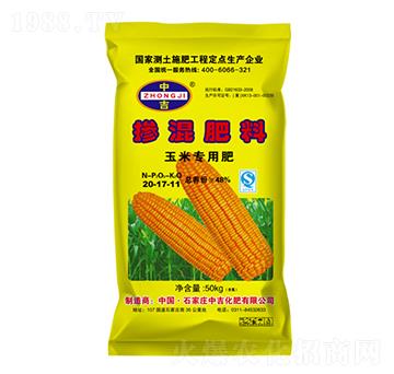 ���׌��Ó������20-