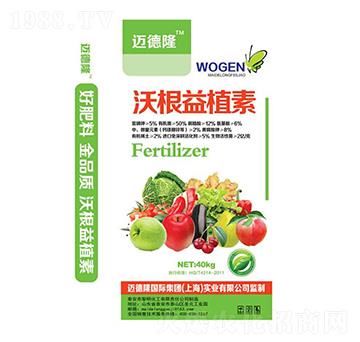 �ָ���ֲ��-�о��S��