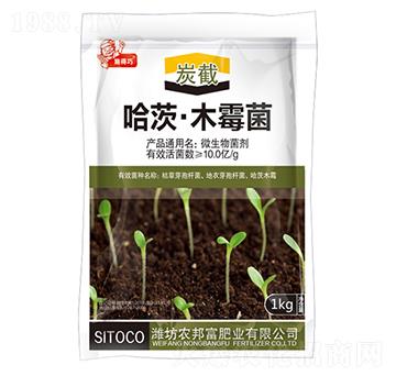 ���ġ�ľù��-̿��-�r(n��ng)�