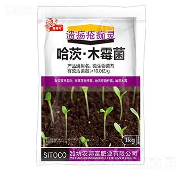 ���ġ�ľù��-���������`-�r(n��ng)�