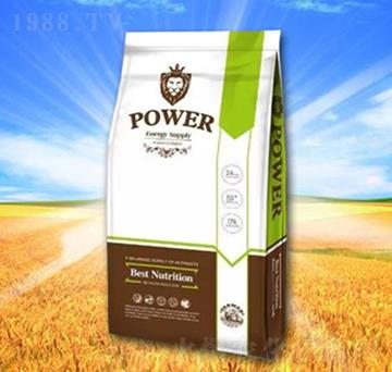 ˮ�ܷ���-POWER-�\�T�r�I(y��)