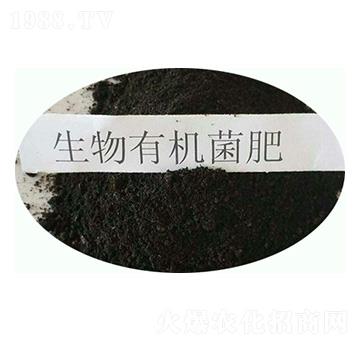 �����ЙC(j��)����-���|�ʘI(y��)