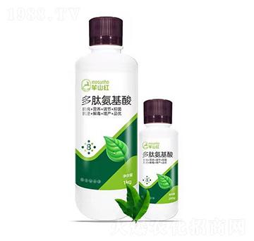 ���İ�����-���p��