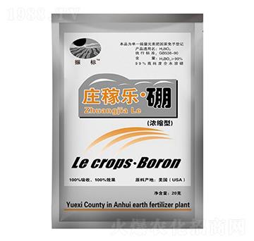 20g�f�ژ�����-���-��ػ���