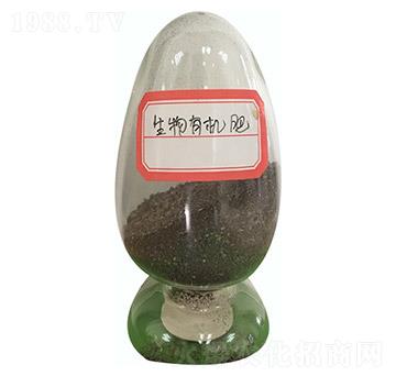 �����ЙC(j��)��-��ꖿƼ�