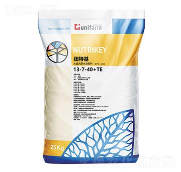 ������ԭ�b�M(j��n)��13-7-40+TE-��֮��