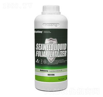 �����~���-�������