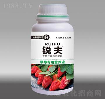 ��ݮ���àI�B(y��ng)Һ-�J��-�Ϙ��˹�Z