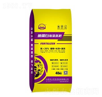 �~���׺��嵪��-�����S