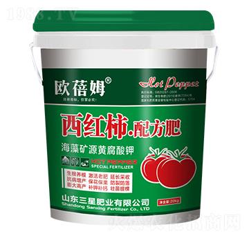 ���t���䷽��-�W��ķ-���ǷʘI(y��)