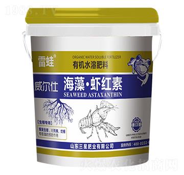 �����r�t��-����-���ǷʘI(y��)