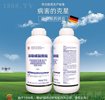 66.5%˪ù���}���}-��ռ�r(n��ng)�Y