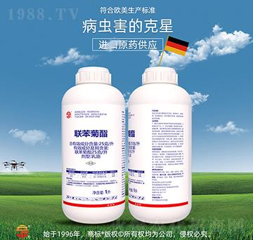 25��ÿ��(li��n)������-��