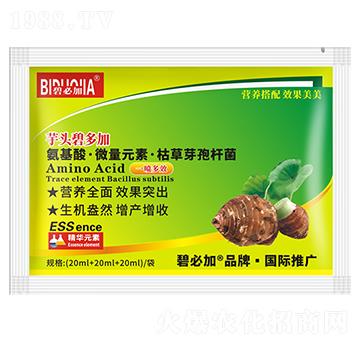 ���^�̶��-�κ�����