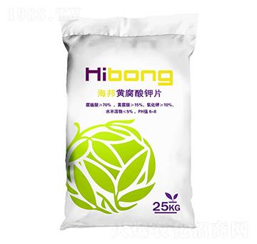 �S�����Ƭ-�������