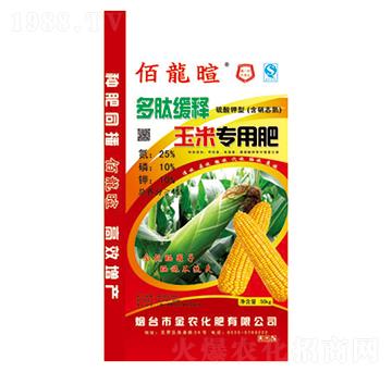���ľ�����׌�(zhu��n)�÷�25-10-10-������-���r(n��ng)