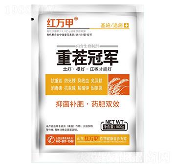 �ز�-�t�f(w��n)��