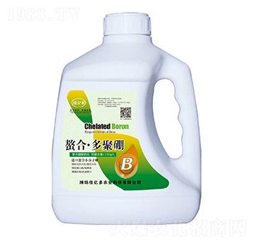 ���ϡ������-�у|��