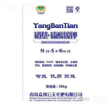 �����������@�-�Ӱ���-��������