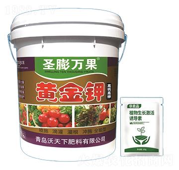 �S���-ʥ���f(w��n)��-������