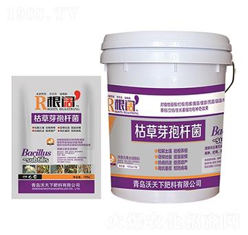 �ݲ�ѿ�ߗU��-���-������