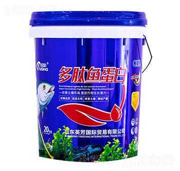 �����~����-���-Ӣ��