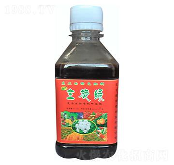 �����ЙC(j��)�~���-�����G-�Ϻ���