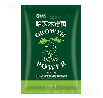 1kg����ľù��-�n�h(yu��n)����