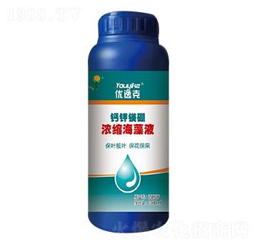 �}��V���s����Һ-��(y��u)�ݿ�