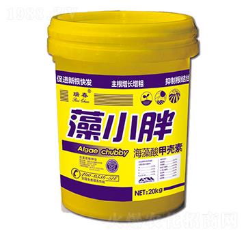 ������ך���-��С��-���r(n��ng)