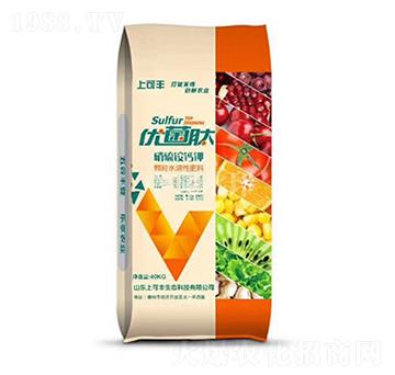 �Ͽ��S�����@��}-��(y��u)����-���r(n��ng)����