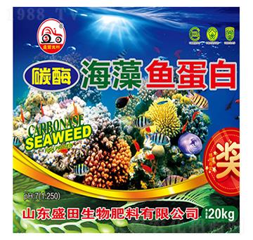 ̼ø�����~����-ʢ����